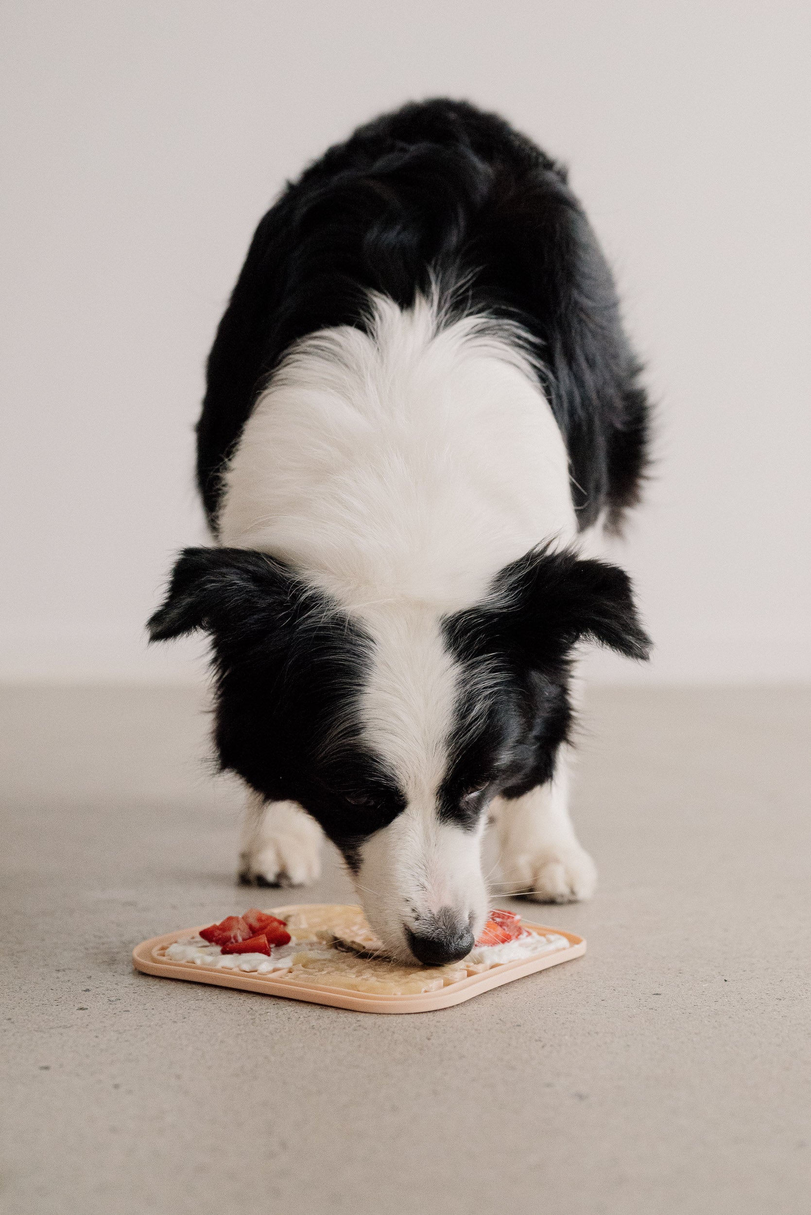 Sweet Strawberry Lick Mat Recipe