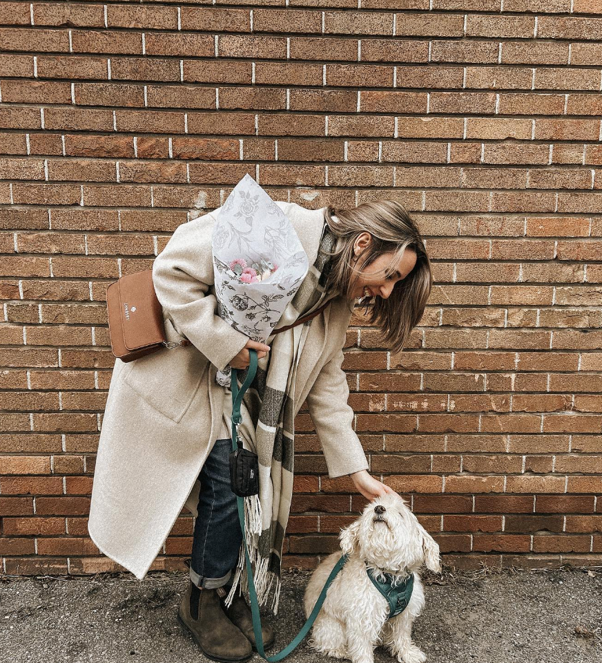 Wanna go for a walk? - Our guide to a safe walk with your pup