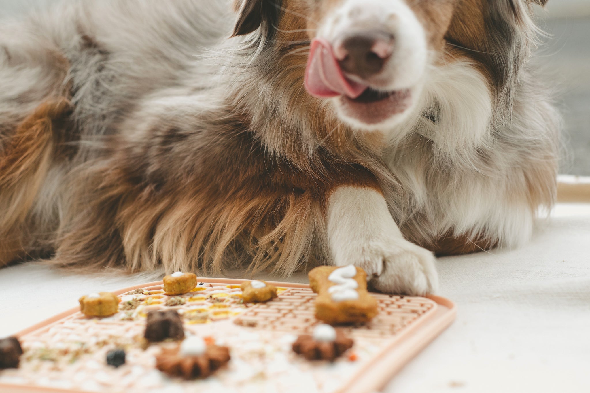 SPREADING THE CHILL - Why our lick mat is every dog parent's favorite home accessory