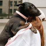 Daily Collar - Lychee