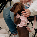 Classic 2.0 Harness Lychee