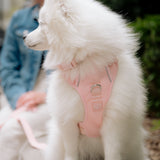 Daily Collar - Lychee