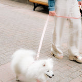 On-the-go Leash in Lychee