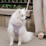 Classic 2.0 Harness Lila