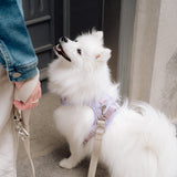Classic 2.0 Harness Lila