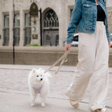 Classic 2.0 Harness Lila