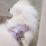 Classic 2.0 Harness Lila
