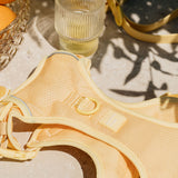 Classic 2.0 Harness Limoncello