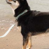 Easy Collar - Breeze