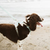 Classic 2.0 Harness Breeze