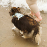 Classic 2.0 Harness Breeze