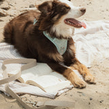 Classic 2.0 Harness Breeze