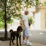 Daily Hands-Free Leash - Matcha