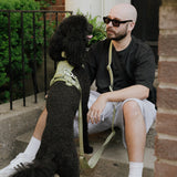 Daily Hands-Free Leash - Matcha