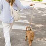 Daily Hands-Free Leash - Affogato