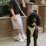 Daily Hands-Free Leash - Matcha