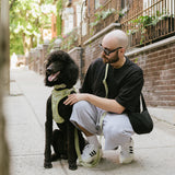 Daily Hands-Free Leash - Matcha