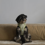 Classic 2.0 Harness Matcha