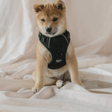 Classic 2.0 Harness Black
