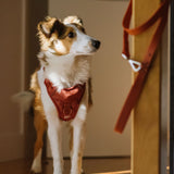 Classic 2.0 Harness Chestnut