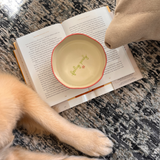 Dog Bowl x Monokiini