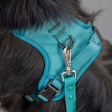 Classic 2.0 Harness Mojito