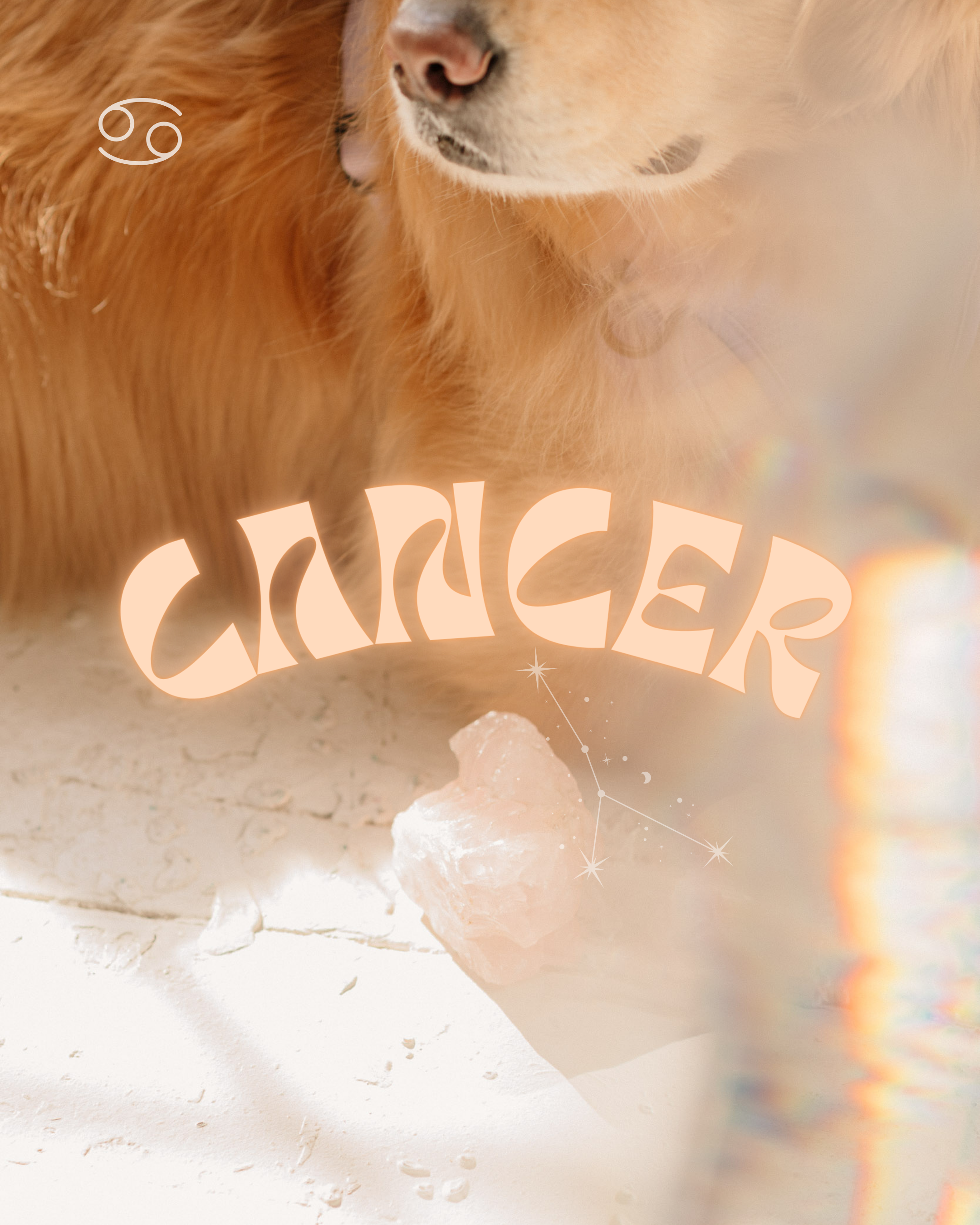 Meet the Cancer Zodiac Pup: A Caring and Intuitive Companion