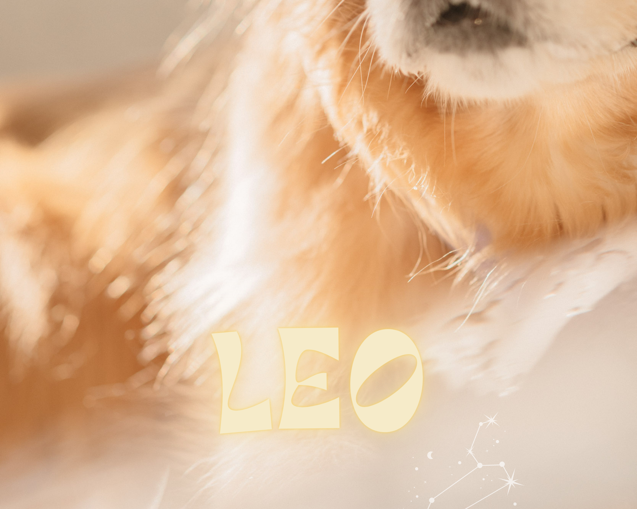 Leos ❋ A captivating blend of charisma & creativity