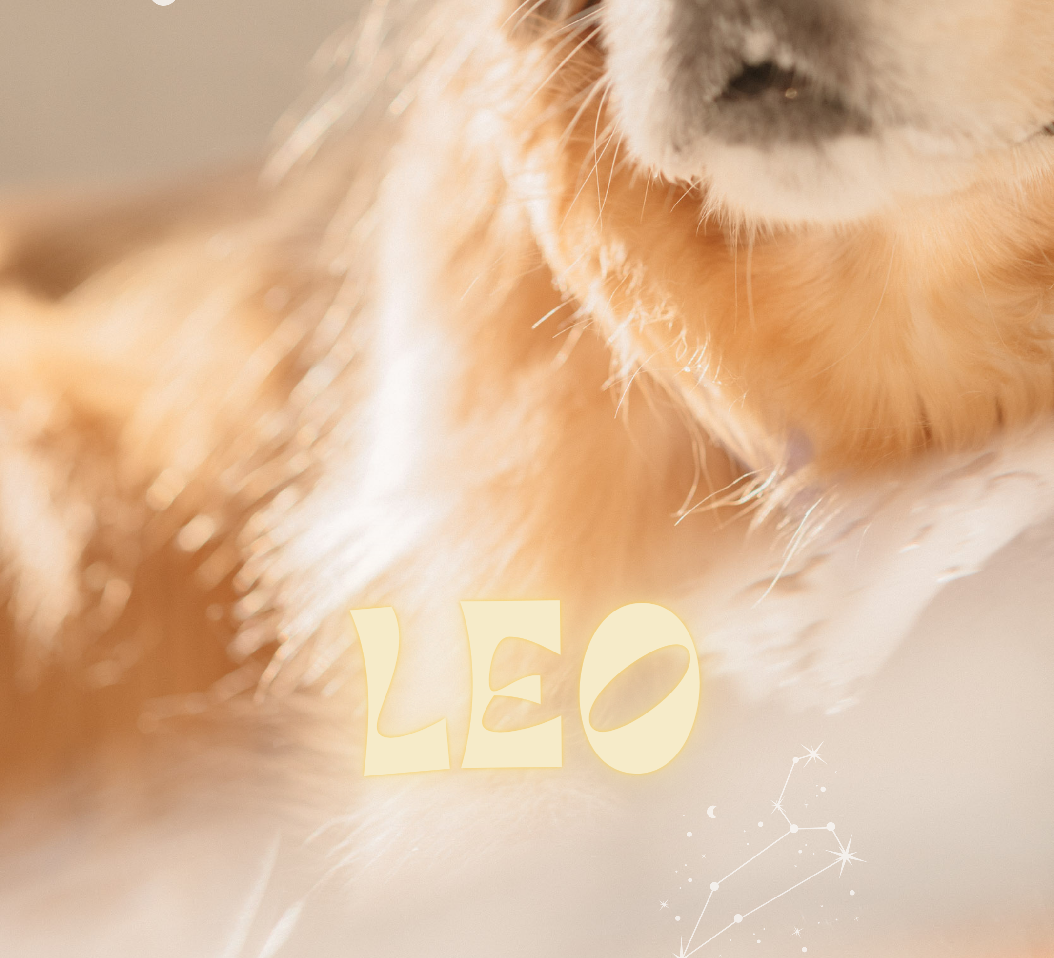 Leos ❋ A captivating blend of charisma & creativity