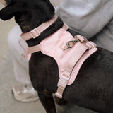 Classic 2.0 Harness Lychee
