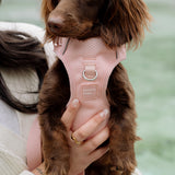 Classic 2.0 Harness Lychee