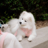 Classic 2.0 Harness Lychee