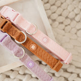 Daily Collar - Lila