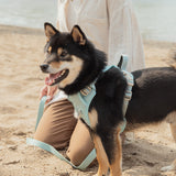 Classic 2.0 Harness Breeze