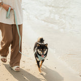 On-the-go Leash in Breeze