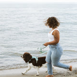 Classic 2.0 Harness Breeze