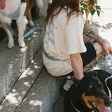 Daily Hands-Free Leash - Cloud