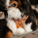 Classic 2.0 Harness Dulce