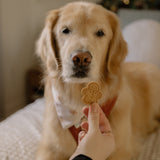 Biscuits des fêtes