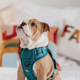 Classic 2.0 Harness Mojito