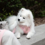 Classic 2.0 Harness Lychee
