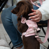 Classic 2.0 Harness Lychee