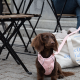 Classic 2.0 Harness Lychee