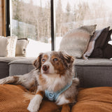 Harnais classique 2.0 - Cloud