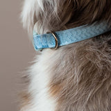 Daily Collar - Cloud